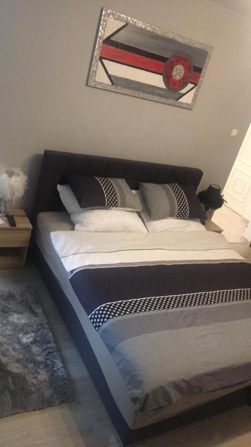 Studio Apartman Ana Eszék Kültér fotó